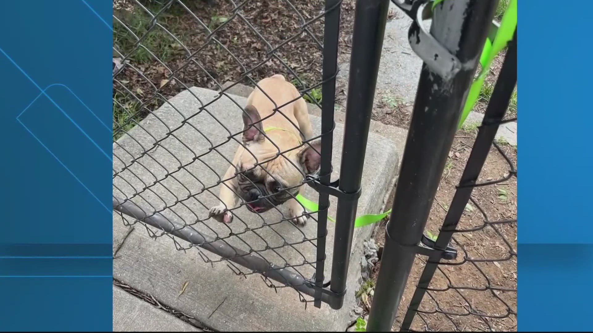 Police say they're looking for 2 people who pointed a gun at a beloved neighborhood crossing guard in a dispute over an apparently lost dog.