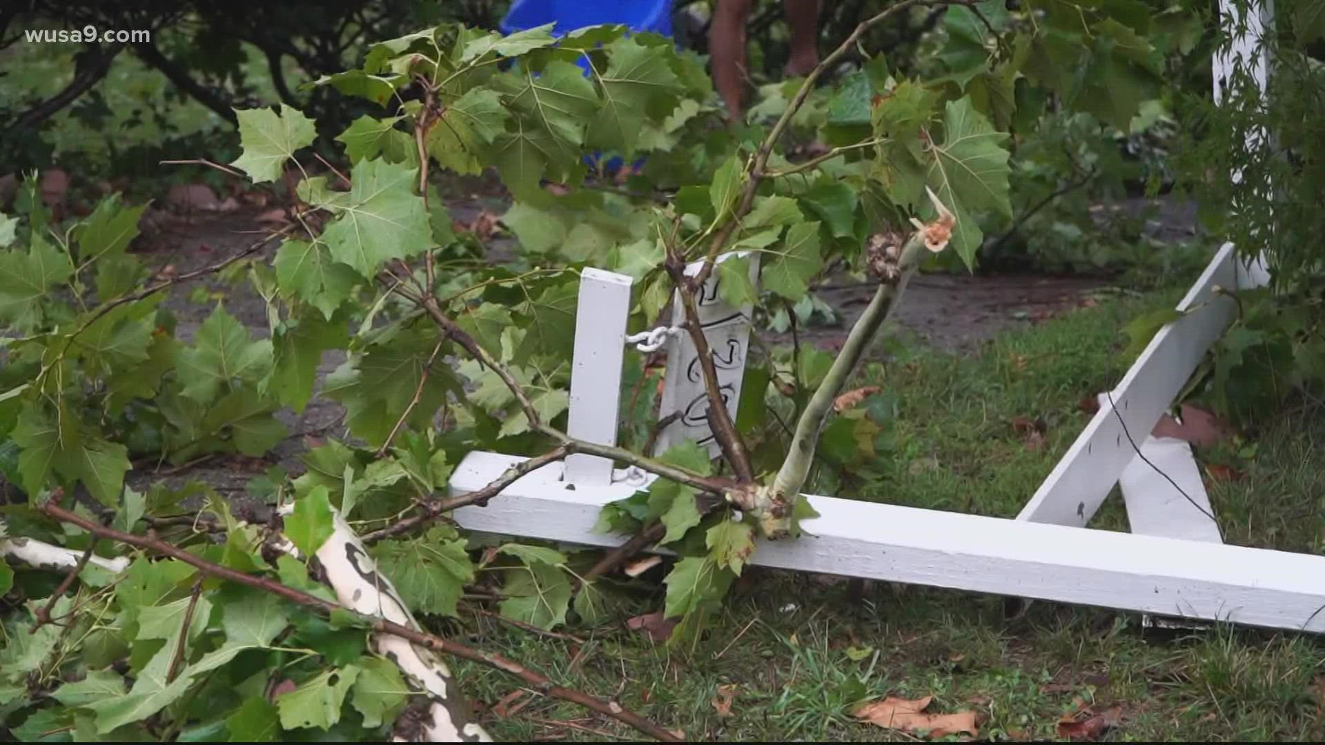 There's a lot of clean-up happening Thursday morning after strong storms moved east of Interstate 95 Wednesday evening bringing damaging winds, heavy downpours.