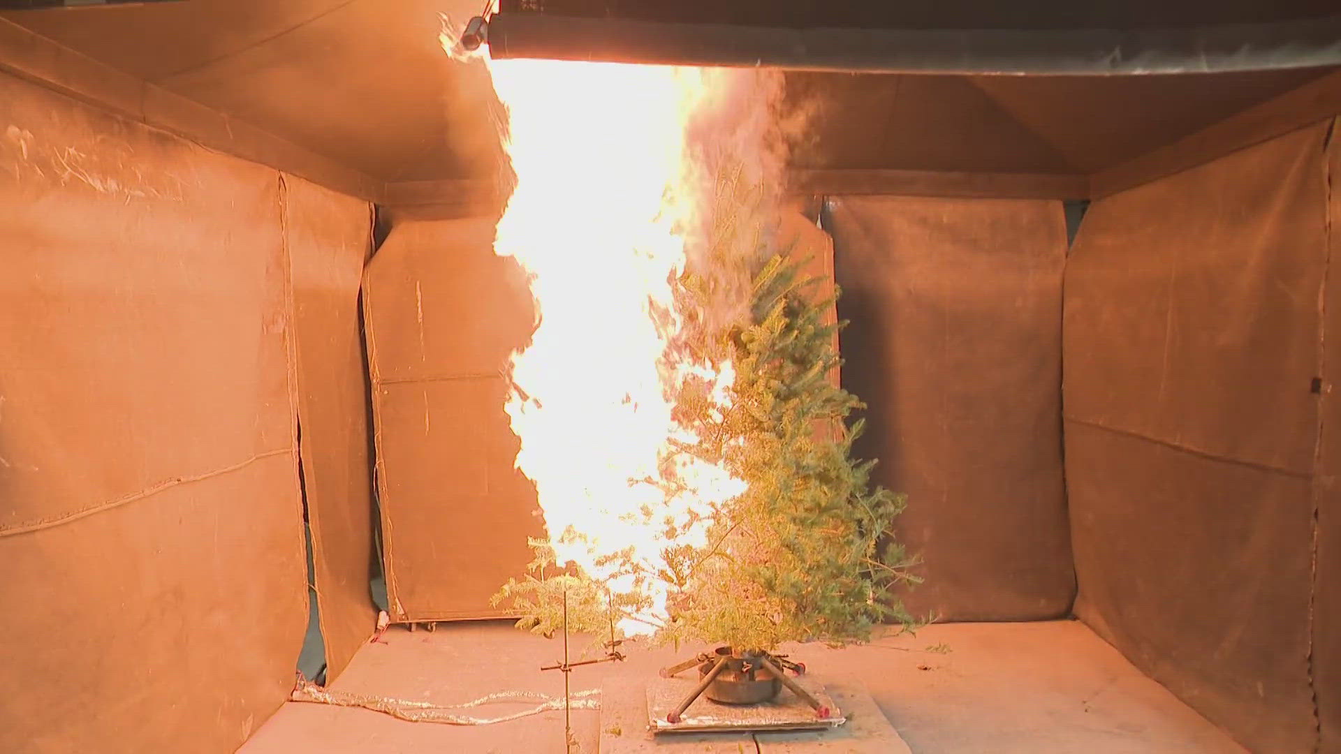 Experts say a dry Christmas tree is a serious fire hazard