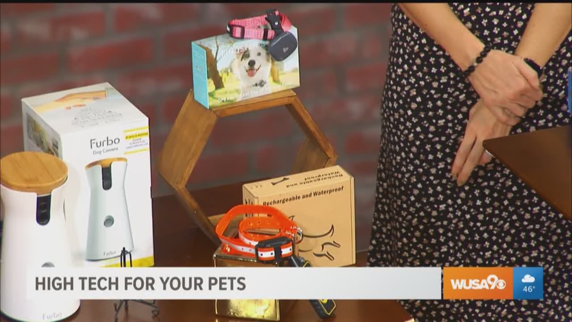 Tech expert and CEO of Toss C3, Greg Hanna, with Core 3, has some smart tech ideas to keep your pet happy and safe.