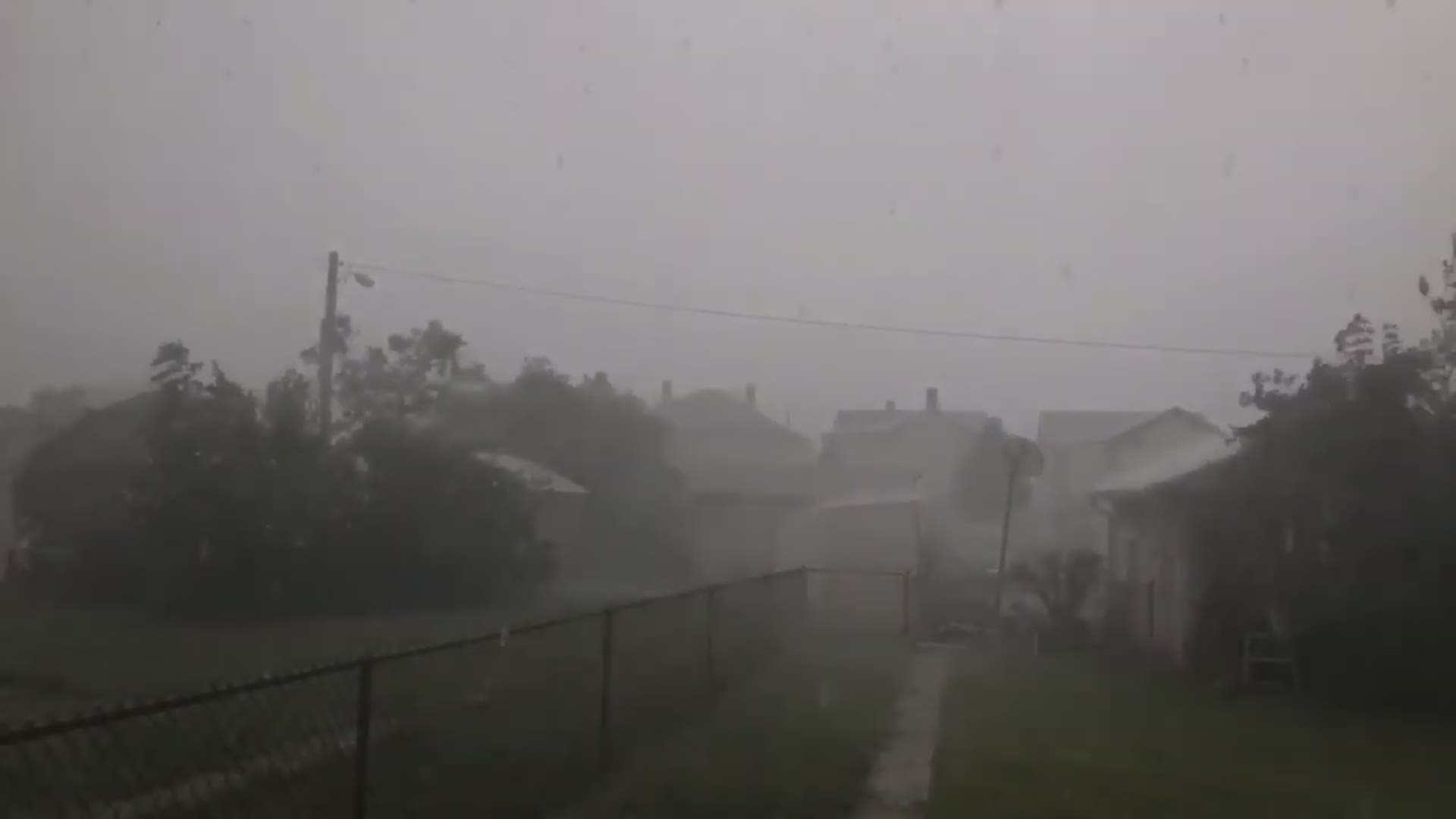 Severe storms, strong winds moving through DC metro knock down trees