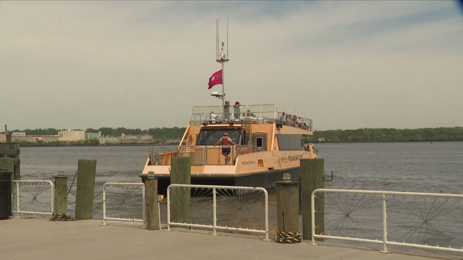 The water taxi will launch before Friday night's home game against the Mets. The Potomac Water taxi will run through baseball season. 