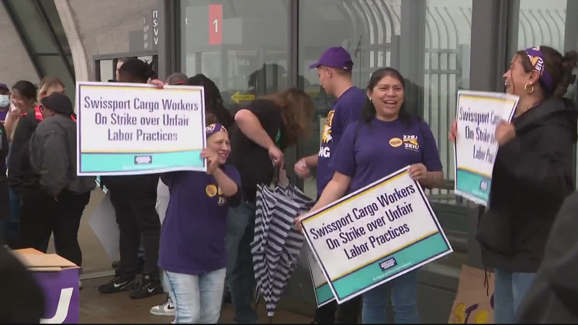 Strike at Dulles International Airport - Vimarsana News