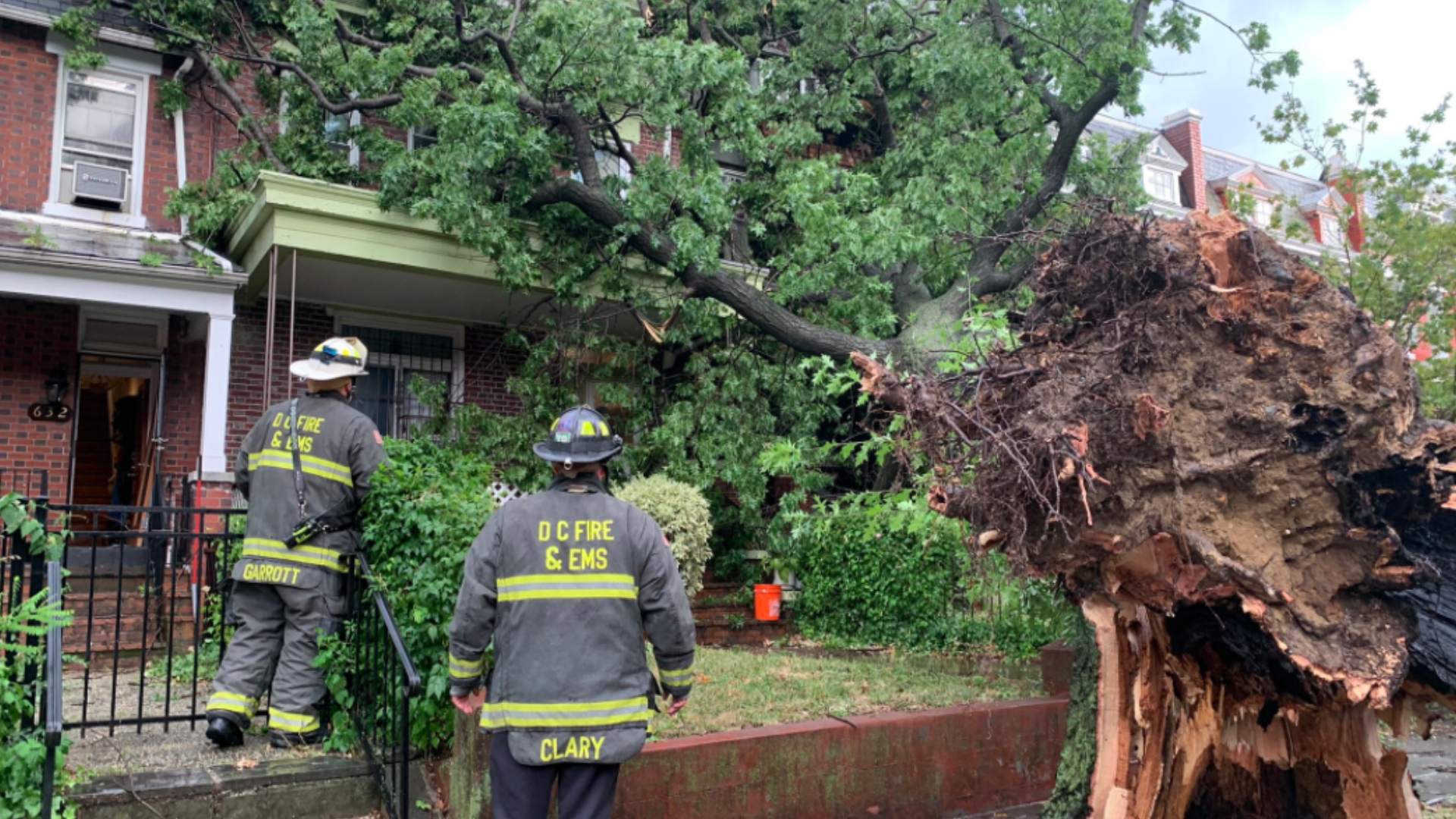 Angry residents say DC ignored obvious signs that could have prevented tree disaster