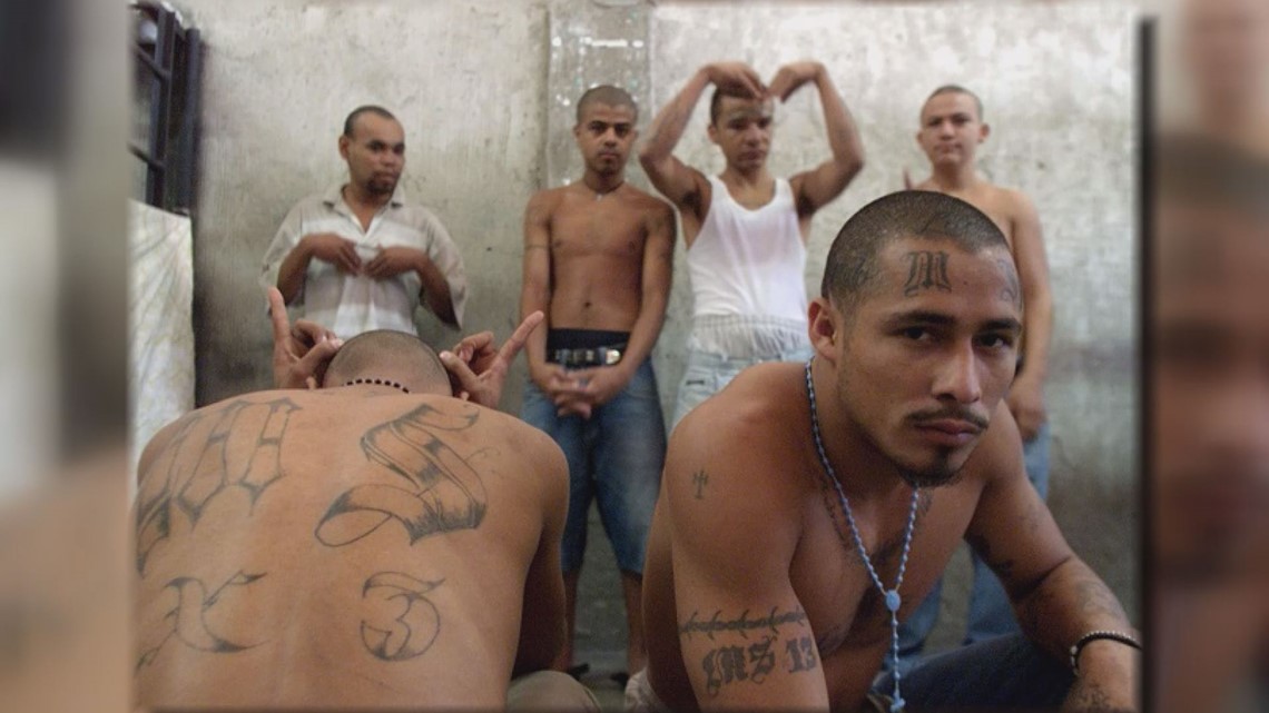 Former MS13 gang members swept up in El Salvador crackdown  Los Angeles  Times