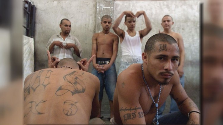 MS13 Made in America