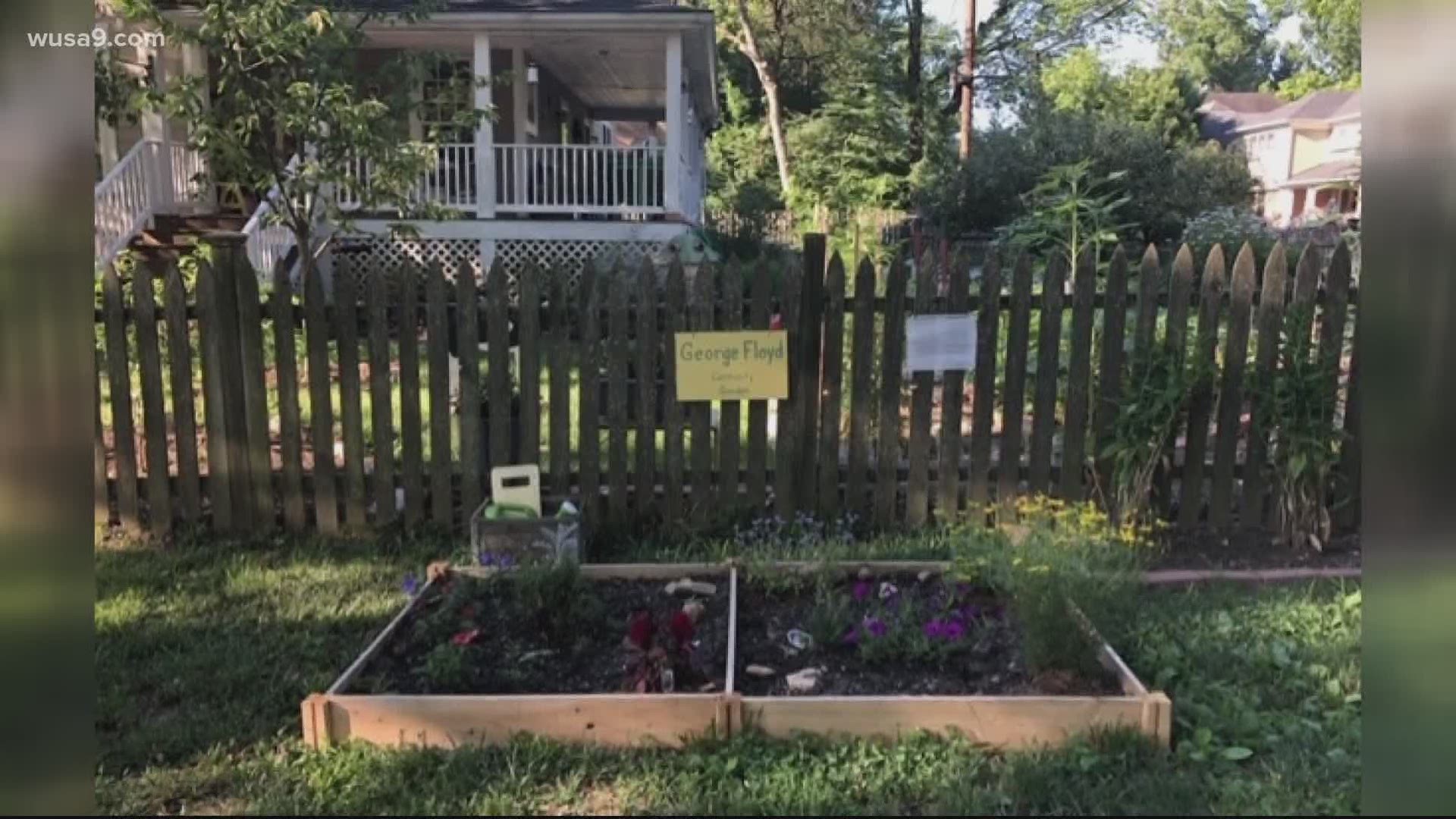 The owner of the garden is inviting others to plant their favorite flower to honor George Floyd.