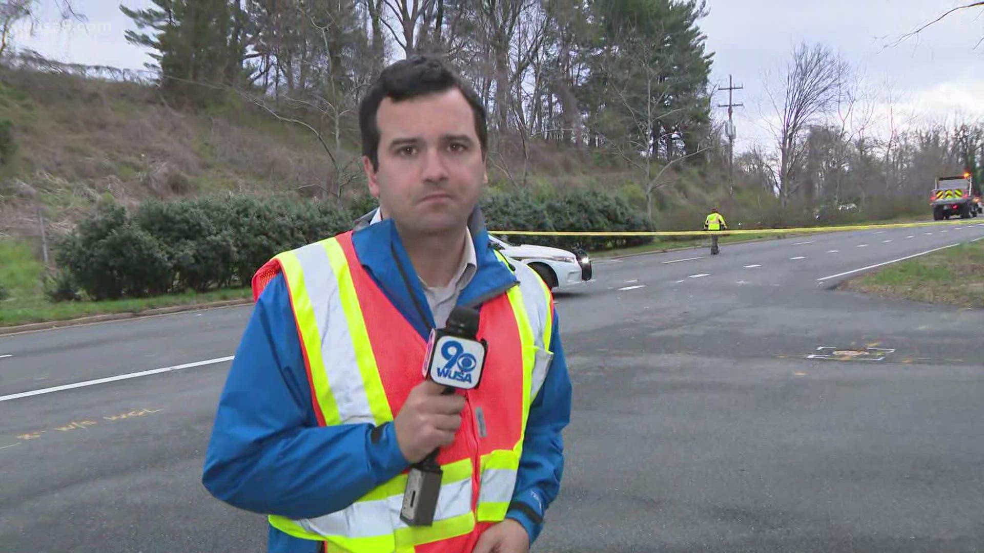 High winds, strong winds in the DC area. A tree was down on River Road in Montgomery County.