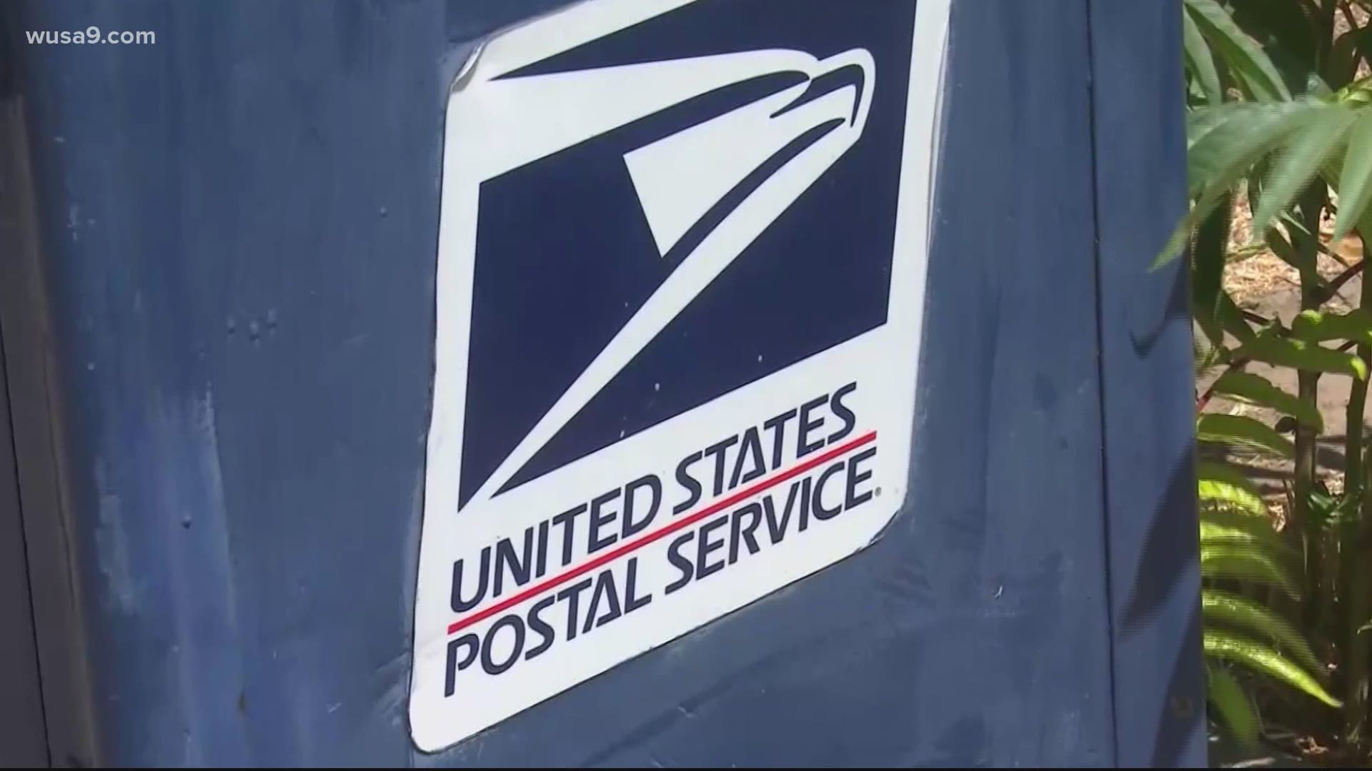 Legal Analyst Kim Wehle answers questions about Postal Service funding, cost-cutting, alternatives and what all this means in regard to getting your vote counted.
