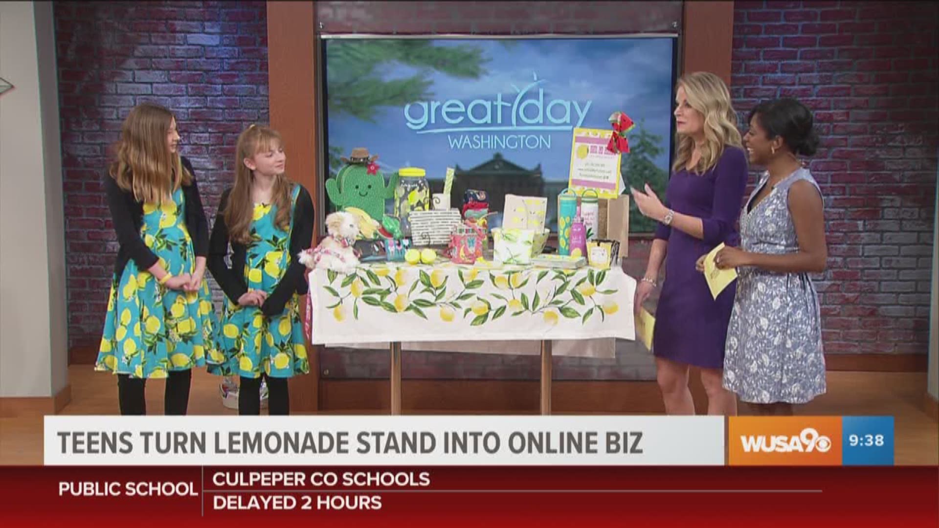 13 year old friends, Hailey Hertzman and Katie Vonder Haar, explain how "success is sweet" after going from a lemonade stand to starting their own online business called 'Ooh La Lemon'.
