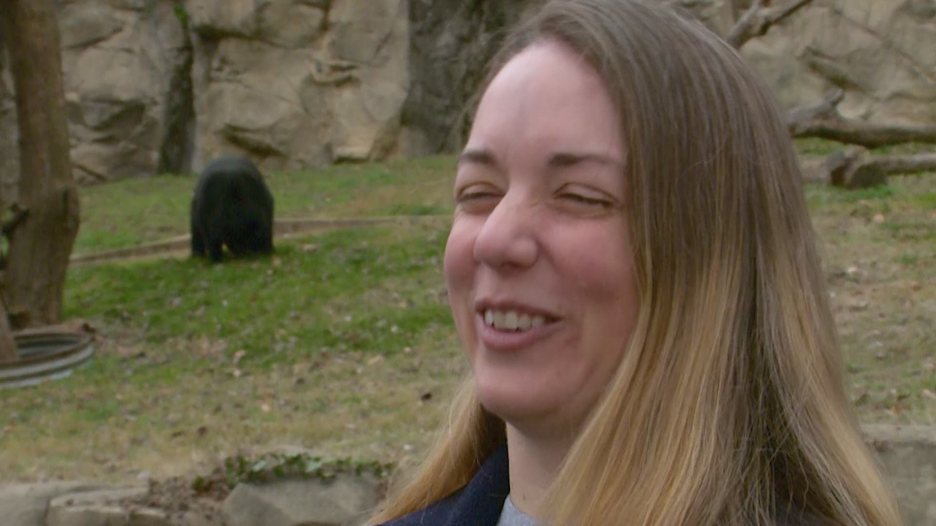 Younger Grils Zoo Xnxx - How zookeepers make breeding matches for species survival | wusa9.com