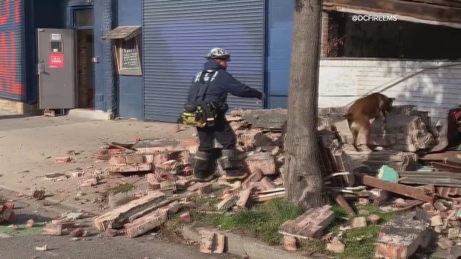 A building collapsed on Florida Ave & Staples St. NE. D Fire's search and rescue K-9 team searched through the rubble to confirm that there were no trapped victims.