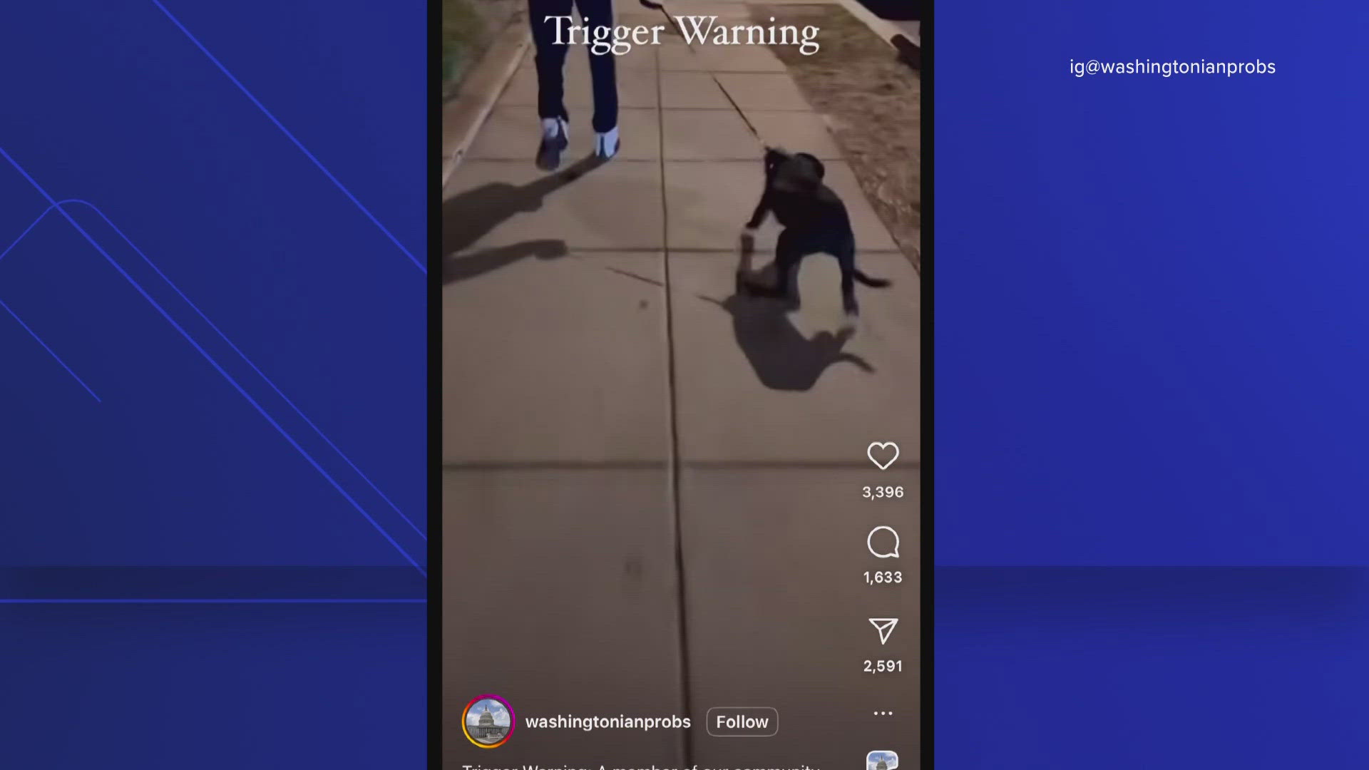 The video was filmed by an apparent bystander and shows a man abusing a dog while walking the animal on a leash. 