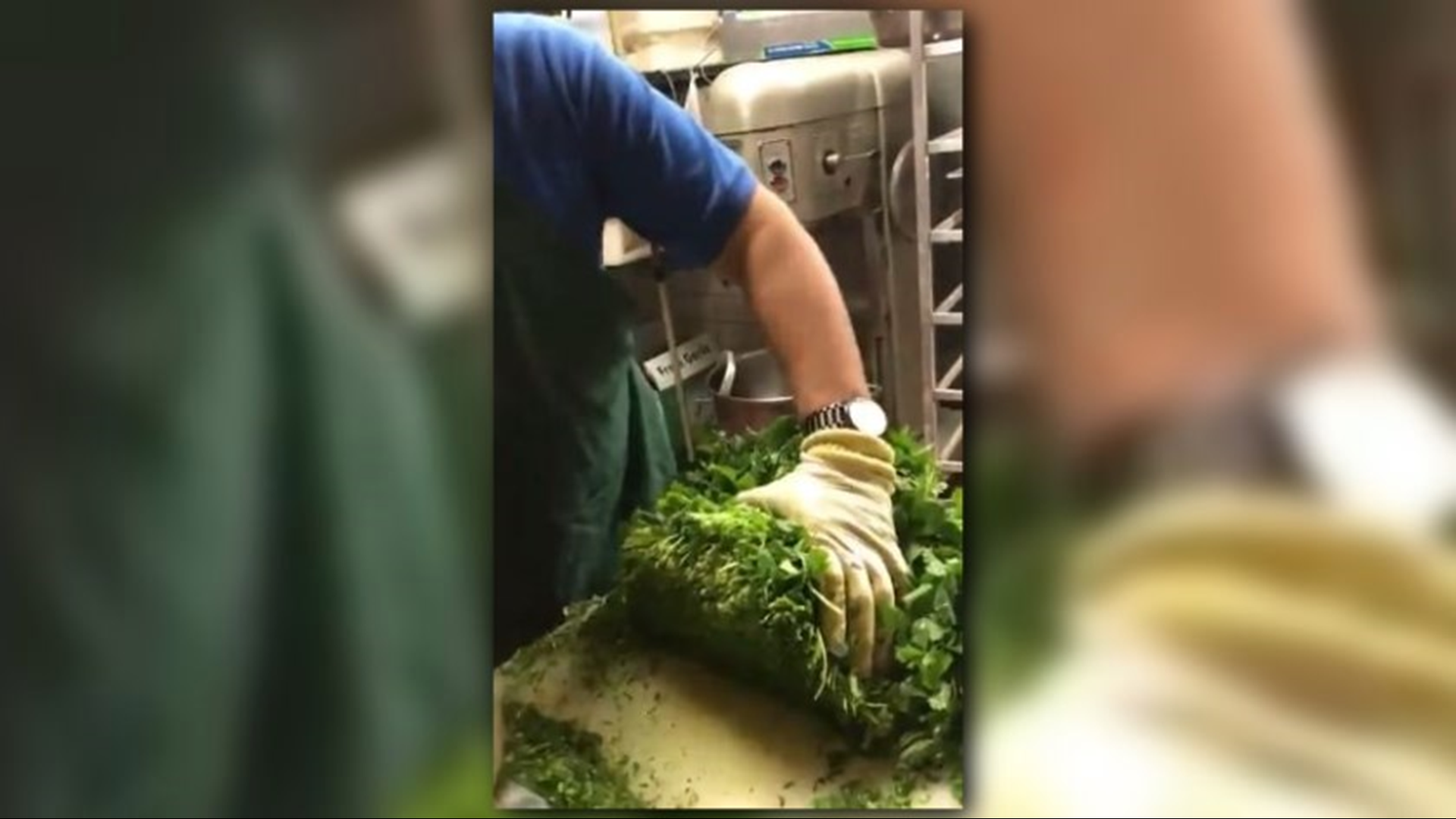 'Chopping cilantro' video on Twitter becomes viral sensation | wusa9.com