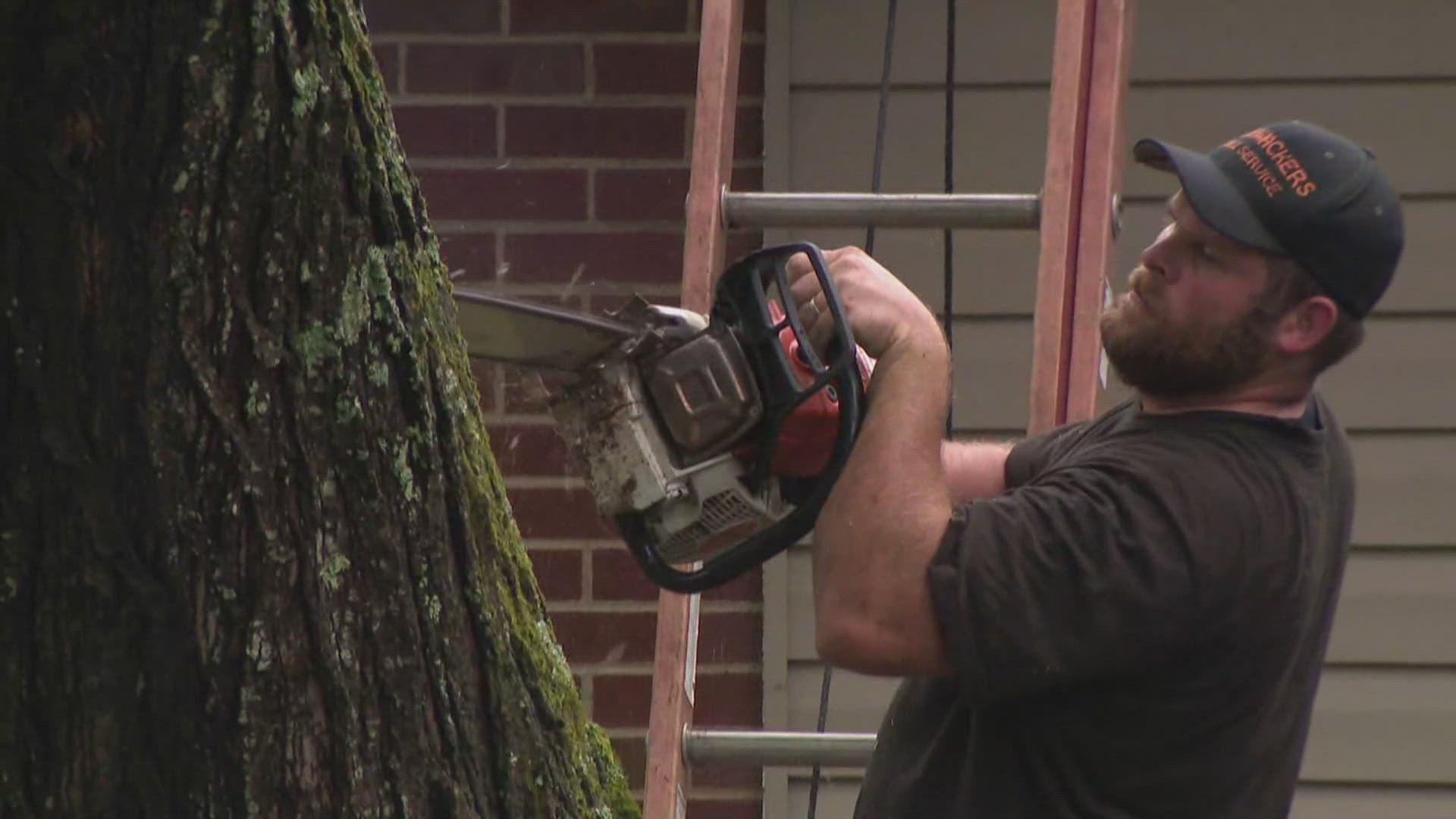 After being under a tornado alert Thursday night neighbors along the Stafford County and Fauquier County line are wondering if a tornado actually touched ground.