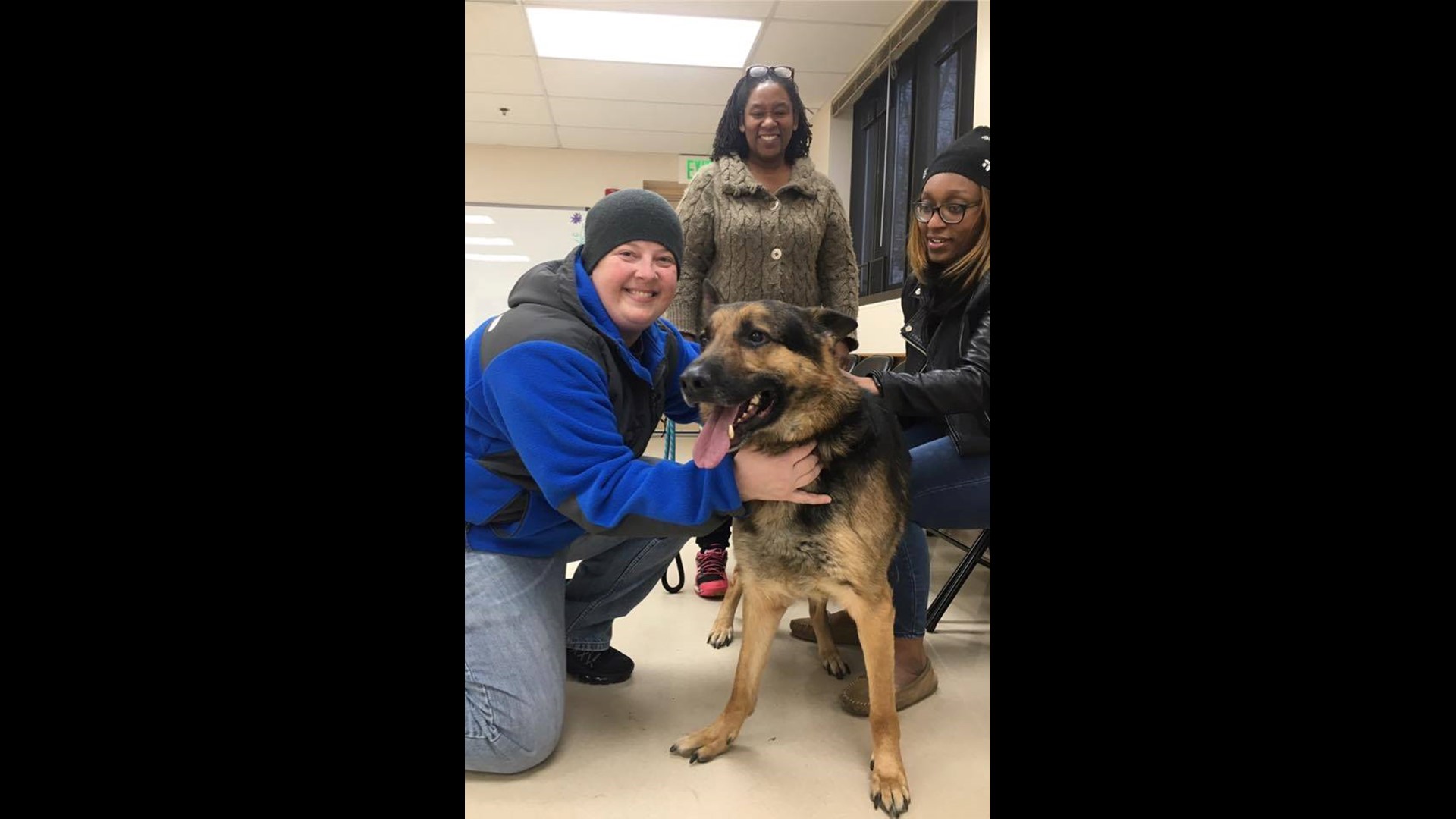 Dog reunited with owner after 3 years apart | wusa9.com