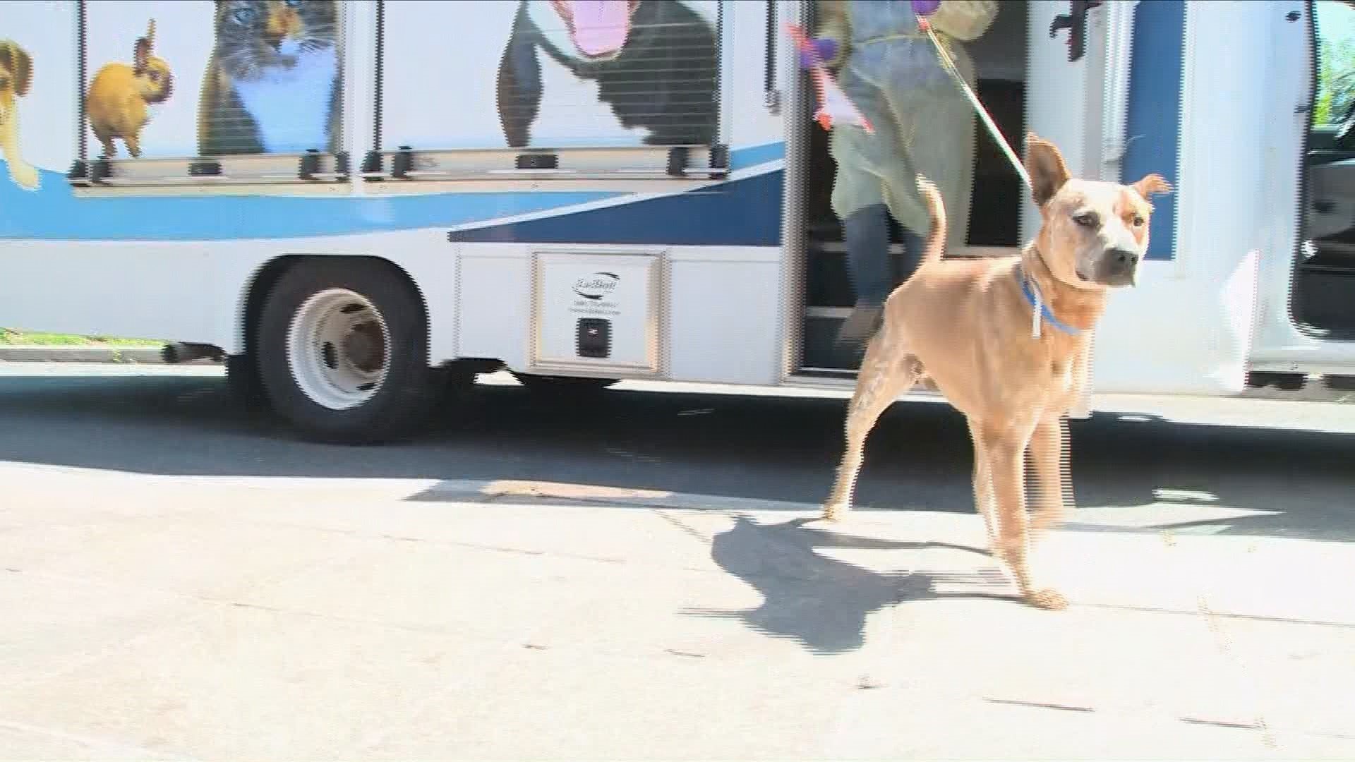 There were 130 animals brought from Oklahoma.