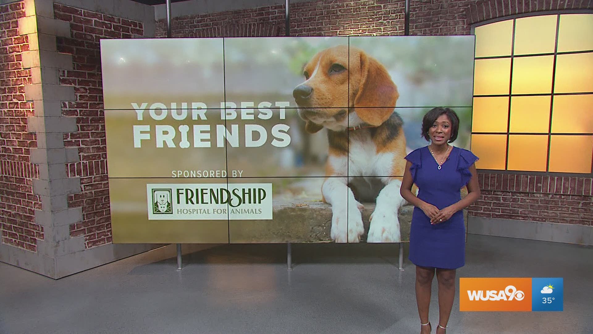 Getting the best emergency care for your pets at Friendship Hospital for  Animals 