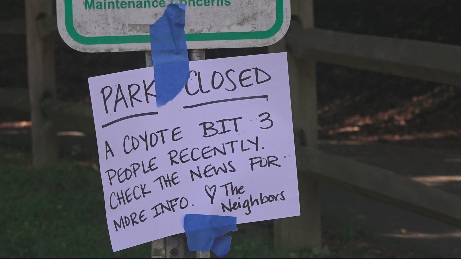 The coyote was shot and killed by a deputy in Lake Accotink Park over the weekend.