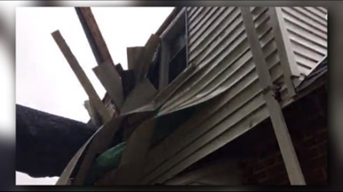 'Check your trees,' says SE man lucky to be alive after tree crushes ...