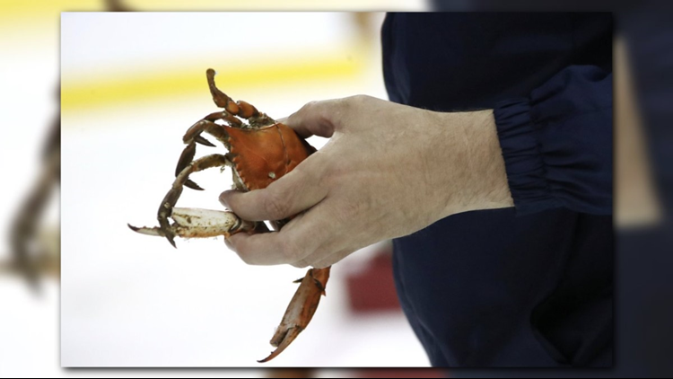 How Detroit's Octopus-Tossing Tradition Started