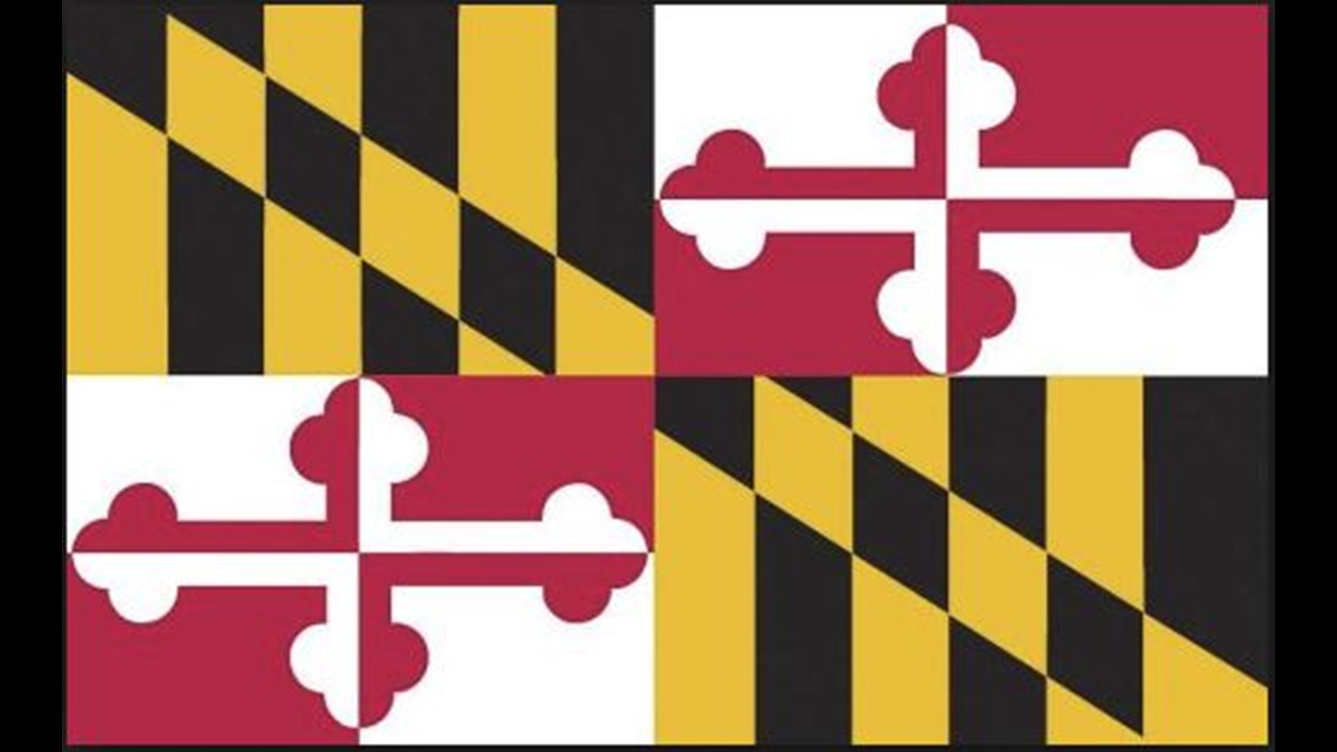 Maryland Primary Voter Guide
