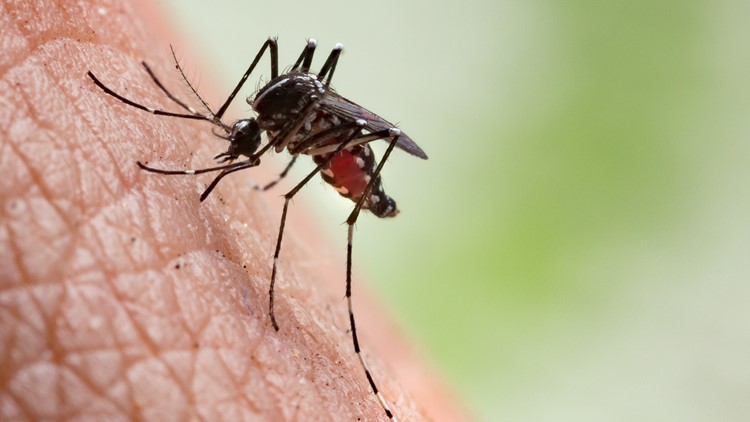 Will, DuPage counties confirm 2 West Nile cases