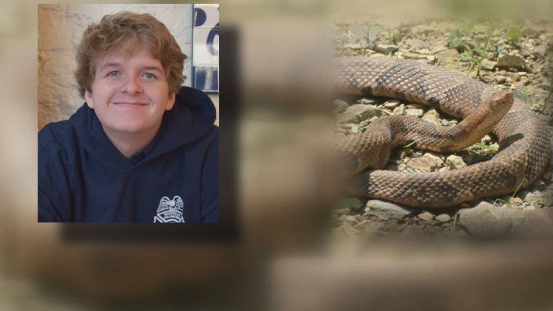 Man bitten by venomous Copperhead snake in Md. says 'don't kill snakes