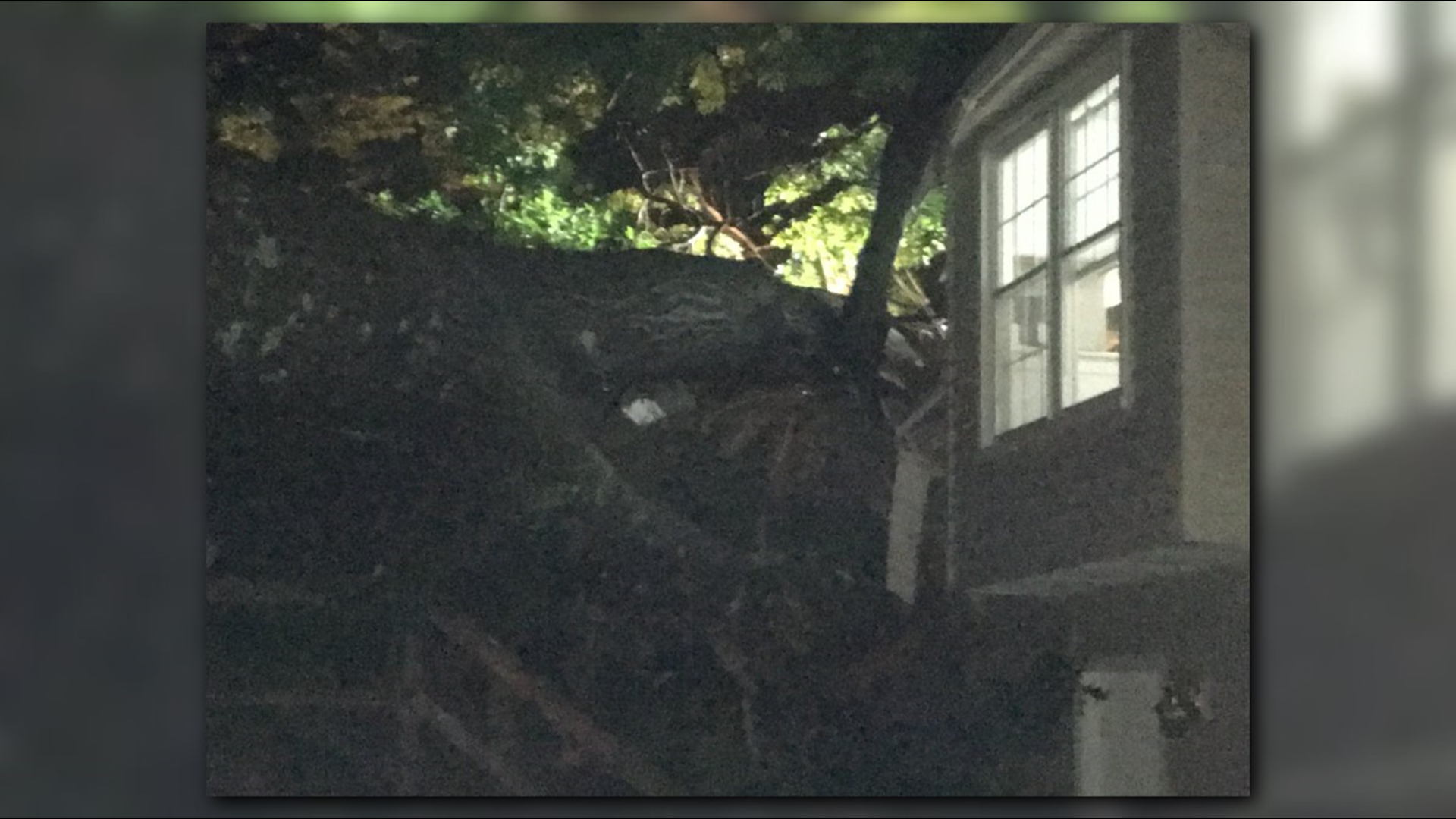 Woman dies after large tree falls into home in Fairfax County, Virginia ...