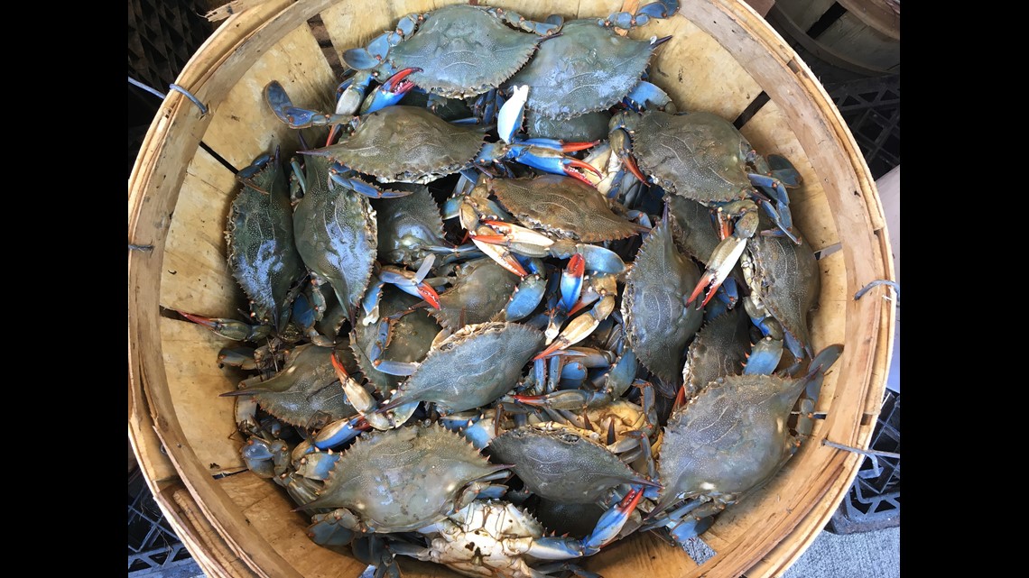 Drink a beer, save a crab with Natty Boh's 'Tabs For Crabs'