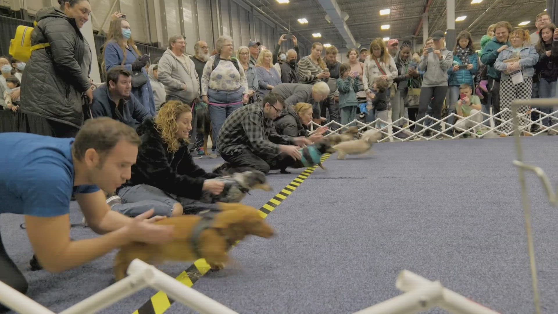 The Super Pet Expo is back at Dulles Expo Center in Chantilly, Virginia.