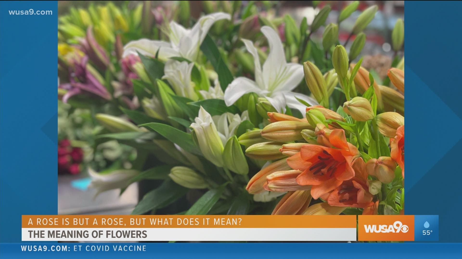 Will Dukas, fourth generation florist with Send Smiles shares spring floral trends and the meaning of flowers.