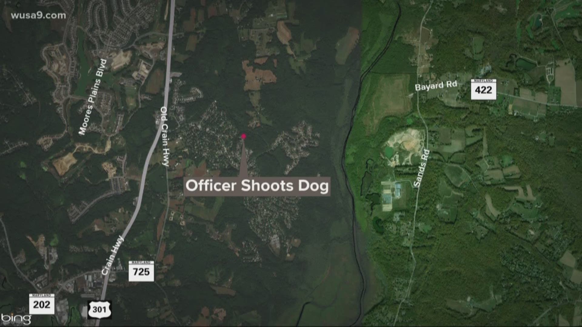 A Prince George's County patrol officer shot and killed a dog over the weekend in Upper Marlboro. Police say the bulldog mauled a delivery driver and bit off part of the man's ear.