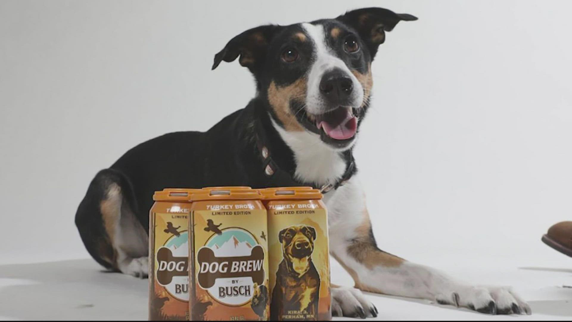 Our dogs are our best friends. But do you ever wish you could kick back with your pup and share a beer?