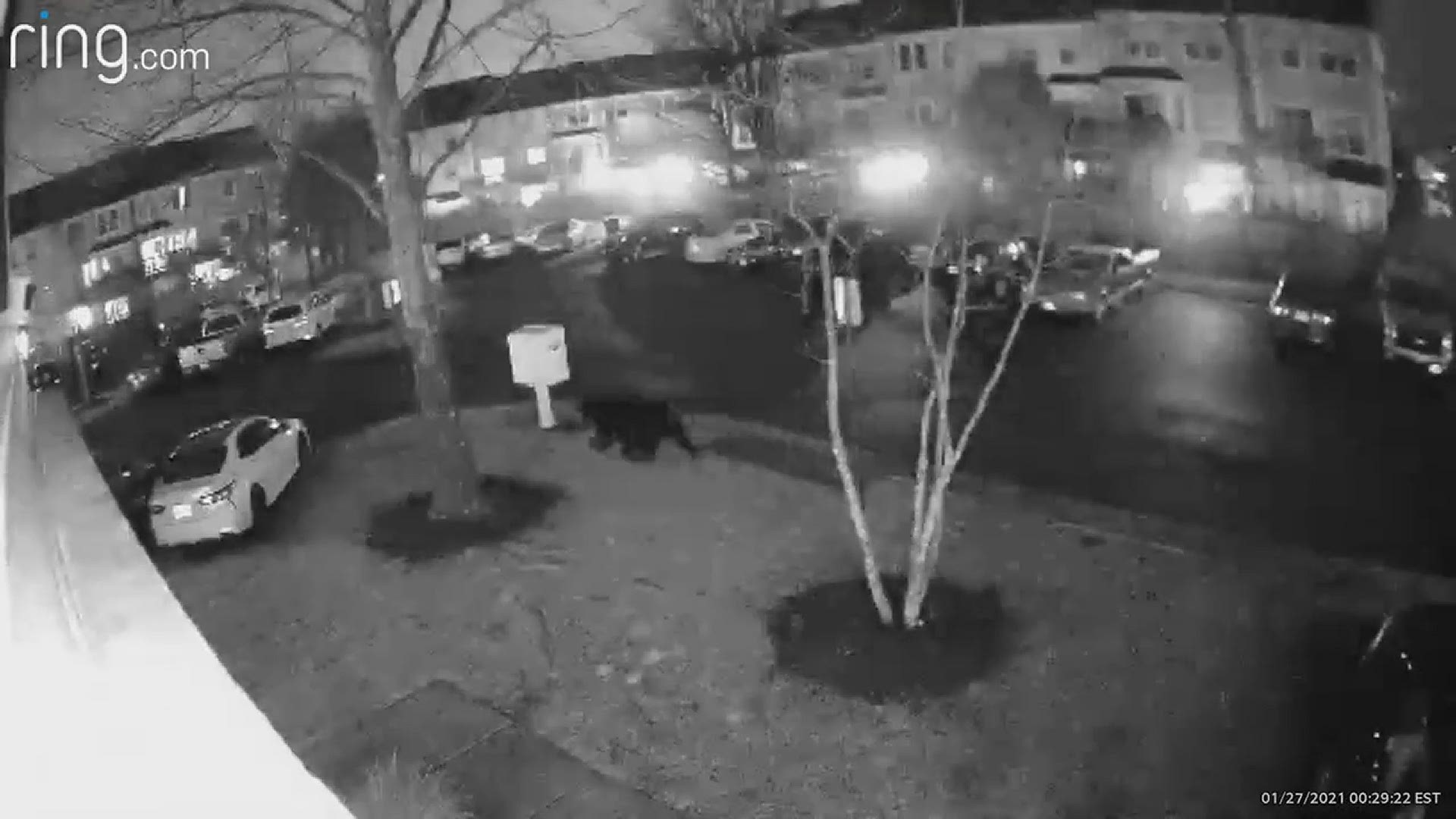 A bear was sighted in Ashburn, Va., around Bar Harbor Terrace and Brookview Square.