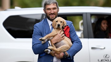 Captain takes in last game with Washington before he heads to service dog 'Training Camp'