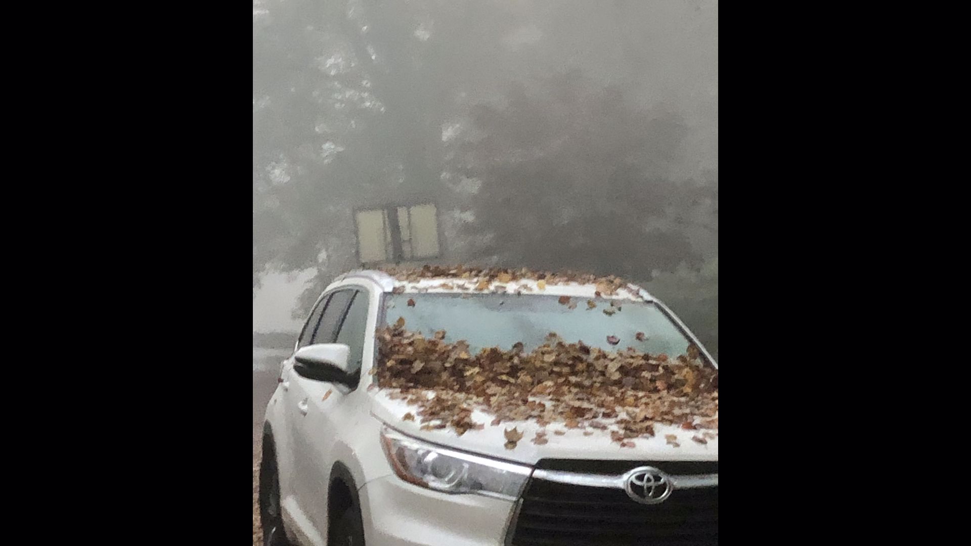 Why does it get foggy in the mornings?