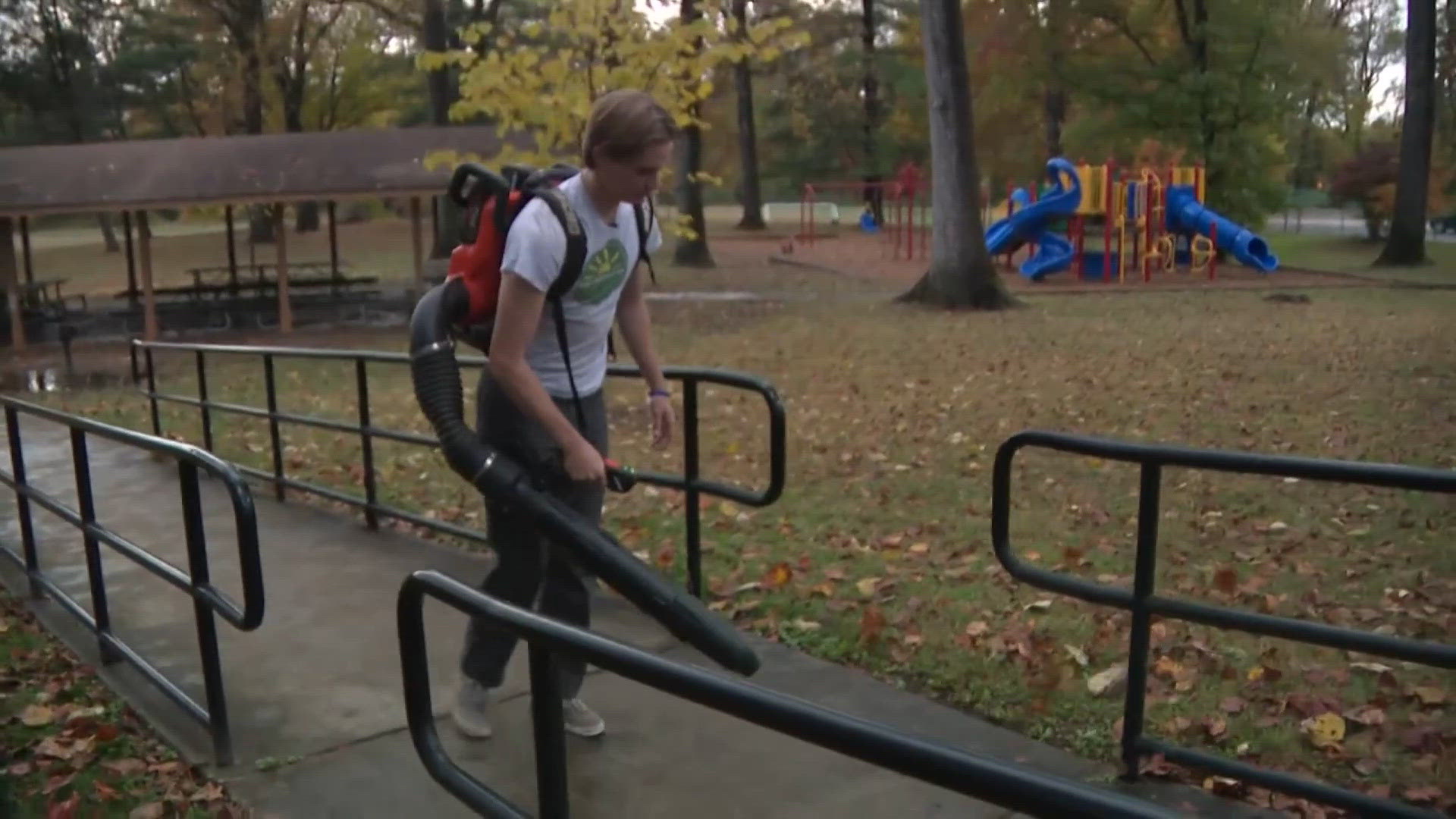 Have a gas-powered leaf blower? Alexandria's ban takes effect this fall ...