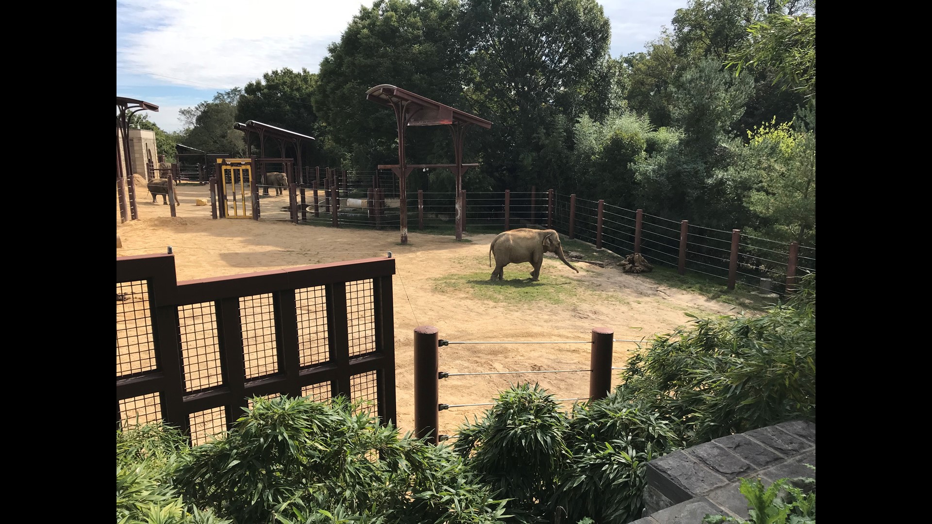 Stop Stories Woodley ParkZooAdams