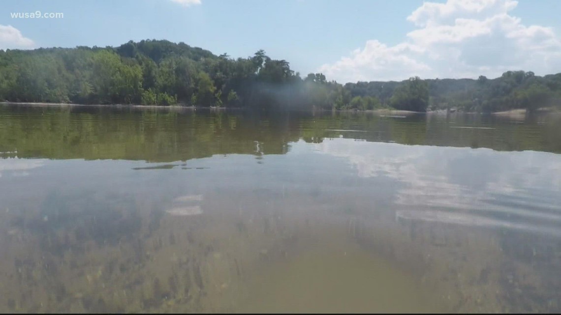 Earth Day challenge helps clean Potomac River - Vimarsana News