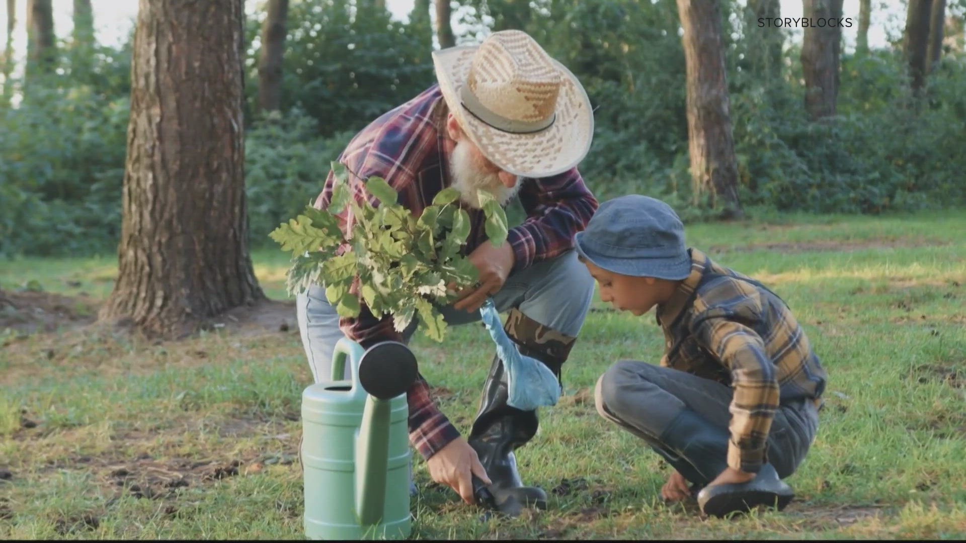 Plan before you plant!