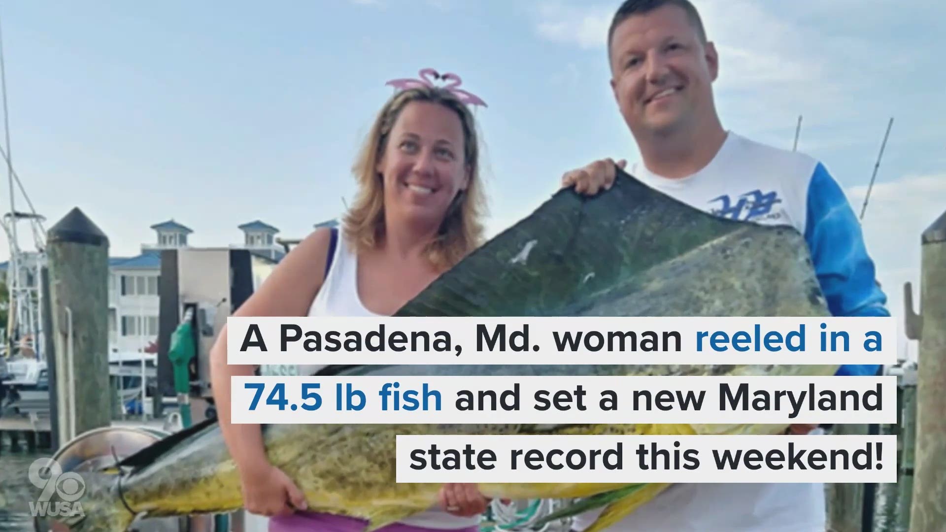 An angler from Pasadena, Md. broke the Maryland state record for the largest common dolphinfish catch in the state over the weekend. The common dolphinfish is also known as mahi mahi.