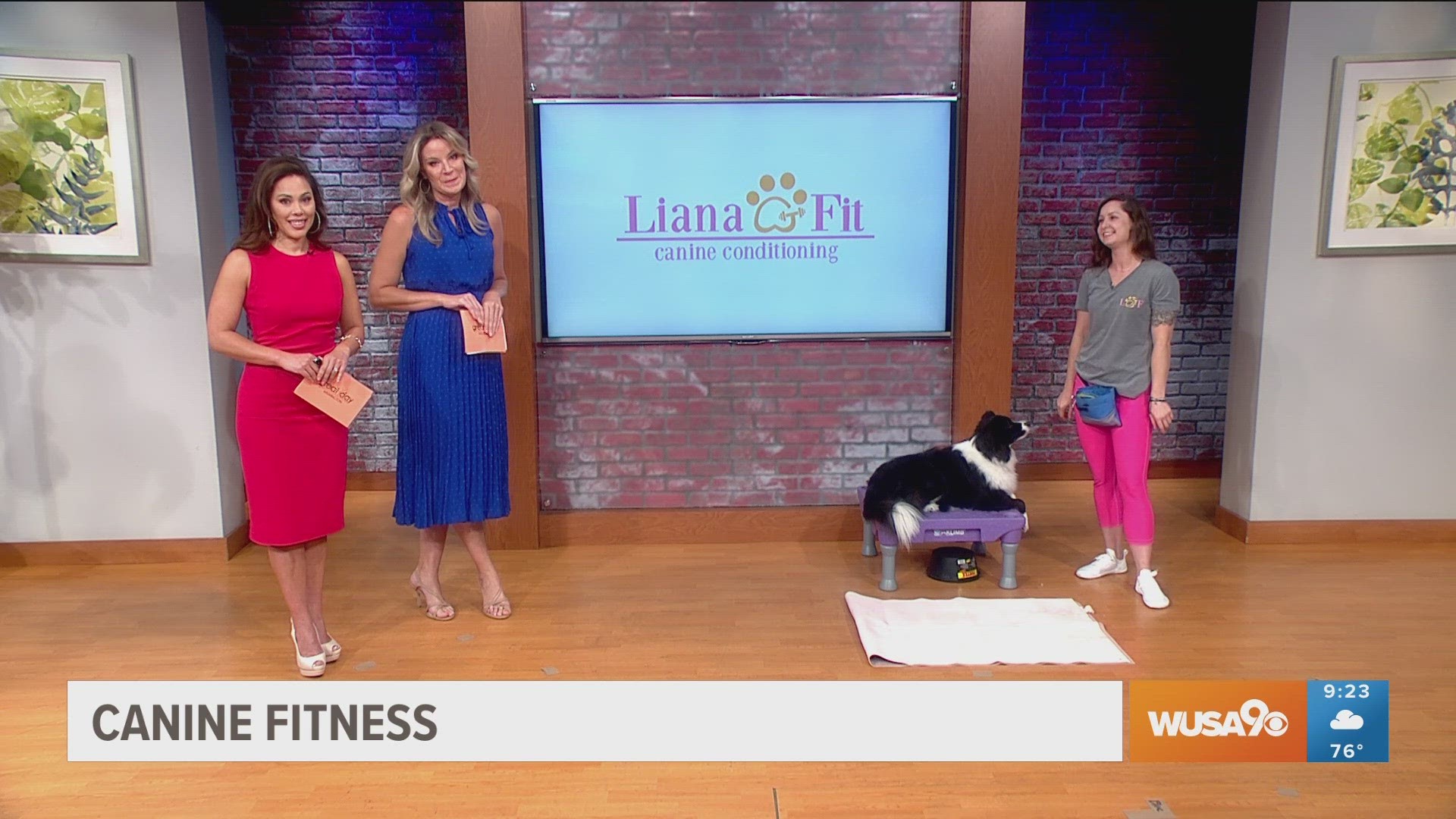 Certified canine fitness trainer Liana Burgoyne, shares tips on how to keep your pet dog in shape. Check out LianaFit Canine Conditioning at lianafit.com