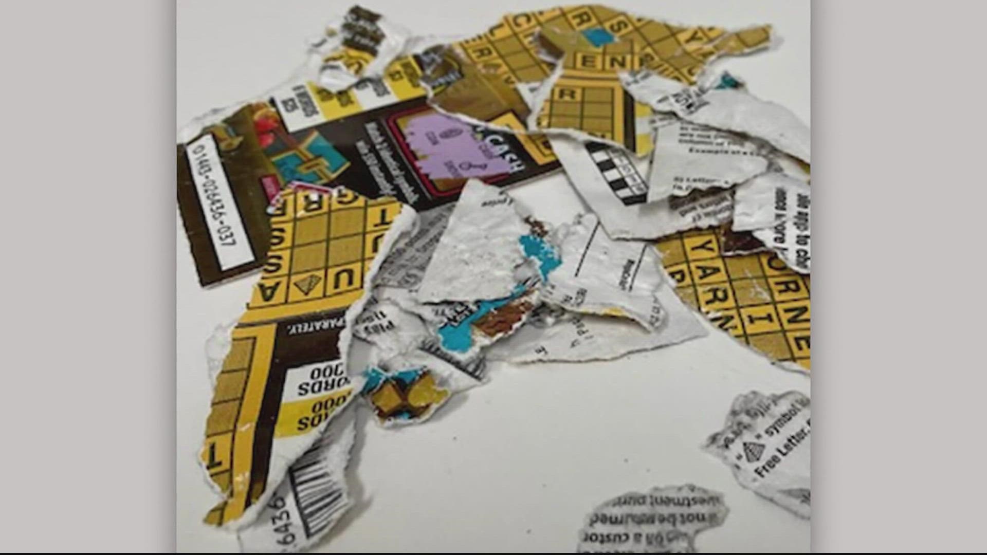 KNOW THE LAWS Dog leash laws in DC, MD and VA