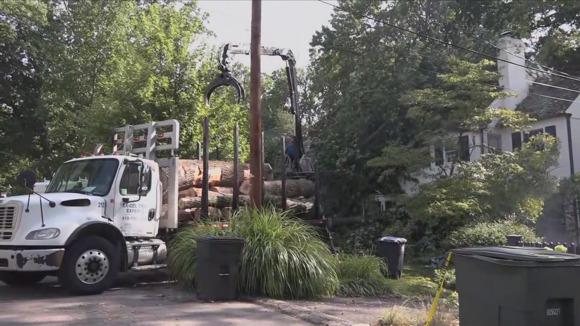 At least 10 homes were damaged by fallen trees from Monday's storm.