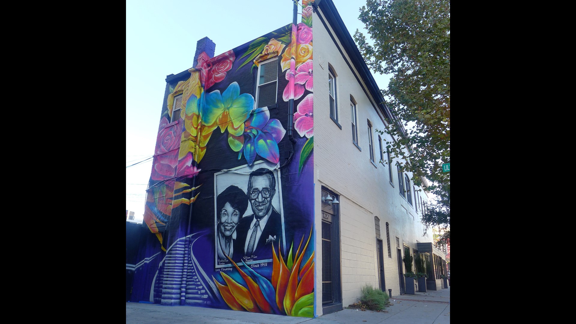 Here's where you can find the 6 new DC murals | wusa9.com