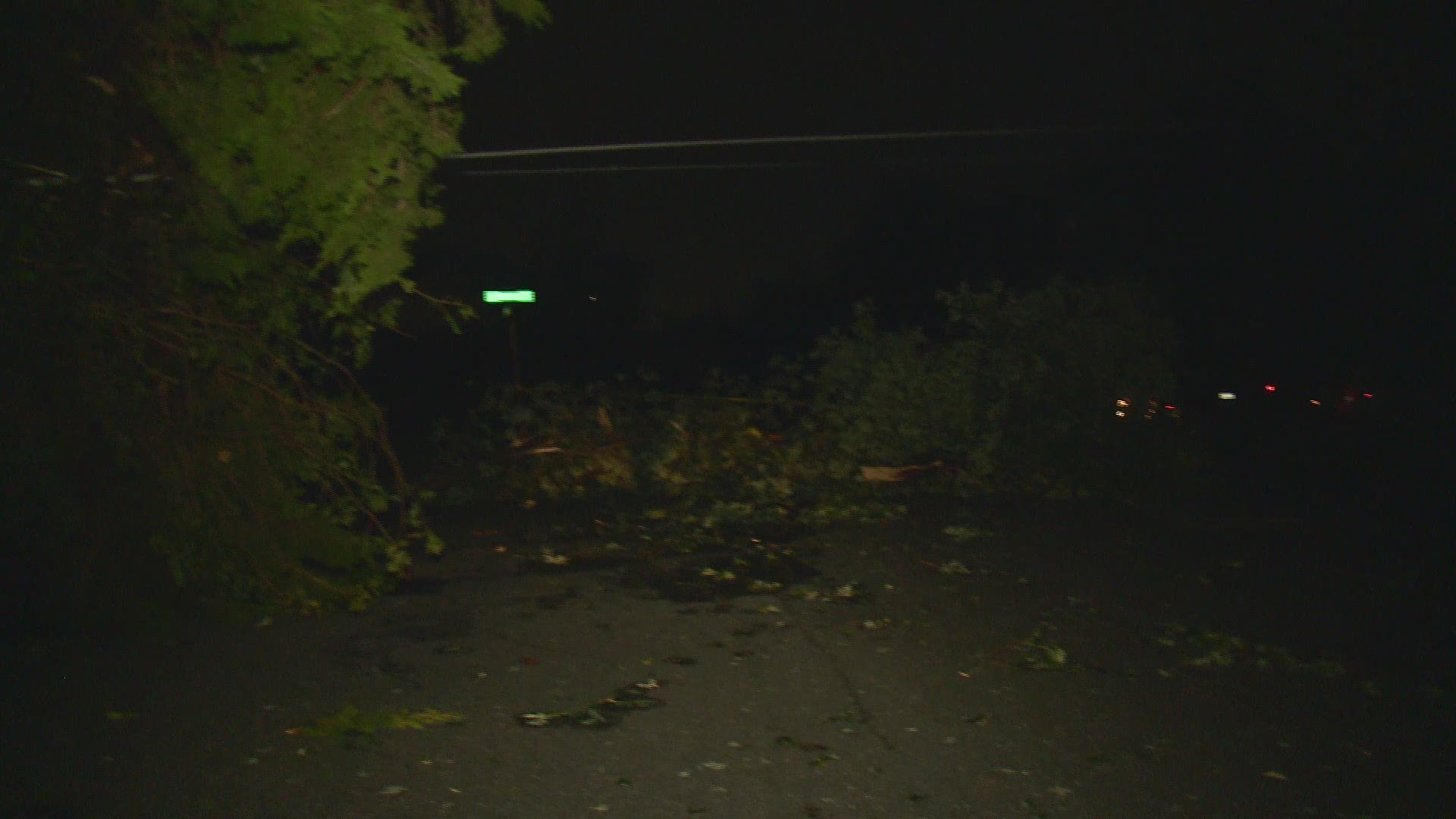 Video shows the damage after a microburst occurred in Prince Georges county Friday evening.