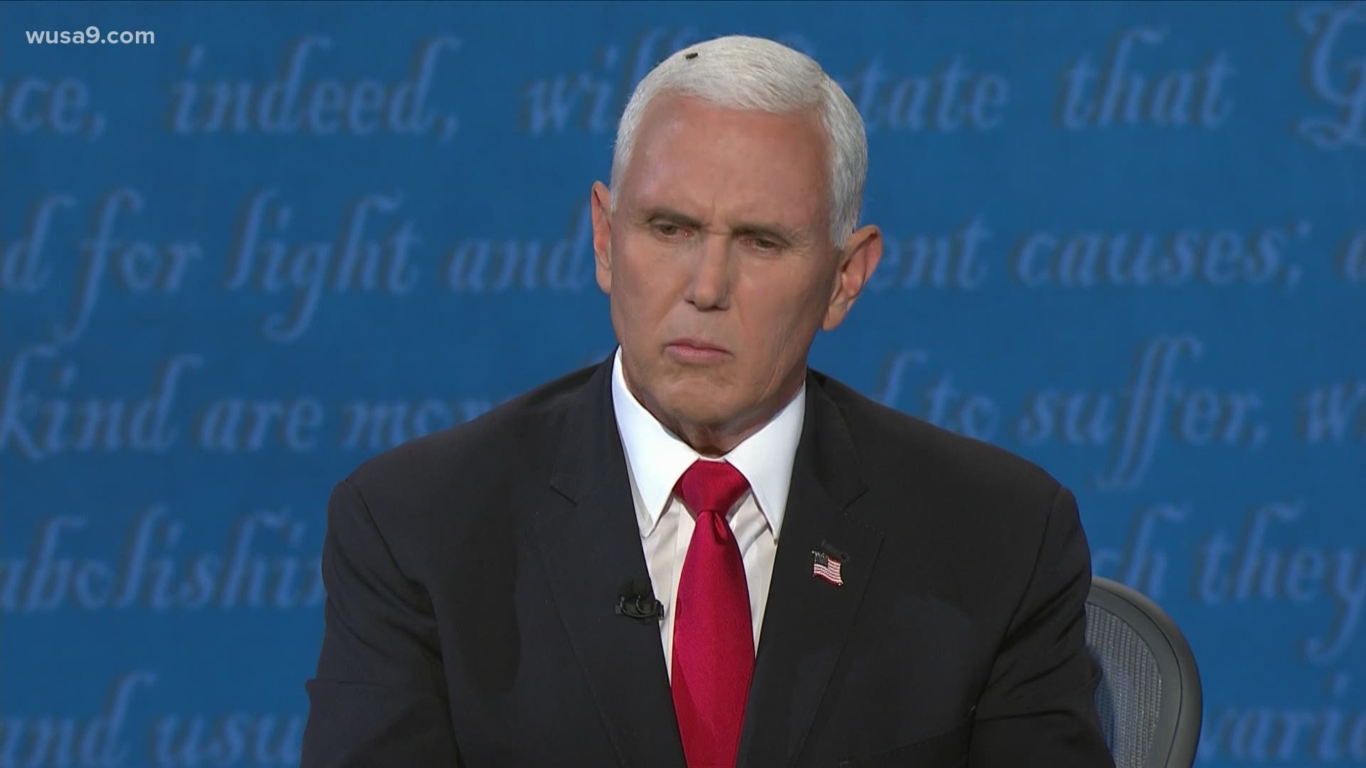 Mike Pence Fly : A fly lands on Pence's head during debate | wusa9.com