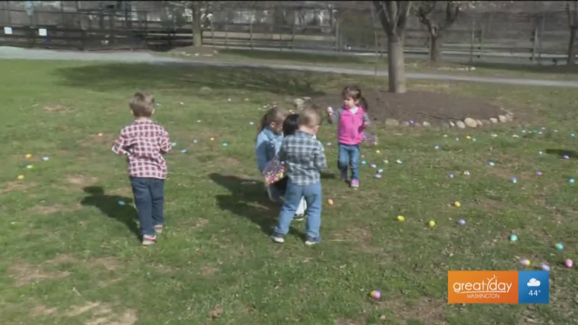 Easter egg playground prizes won