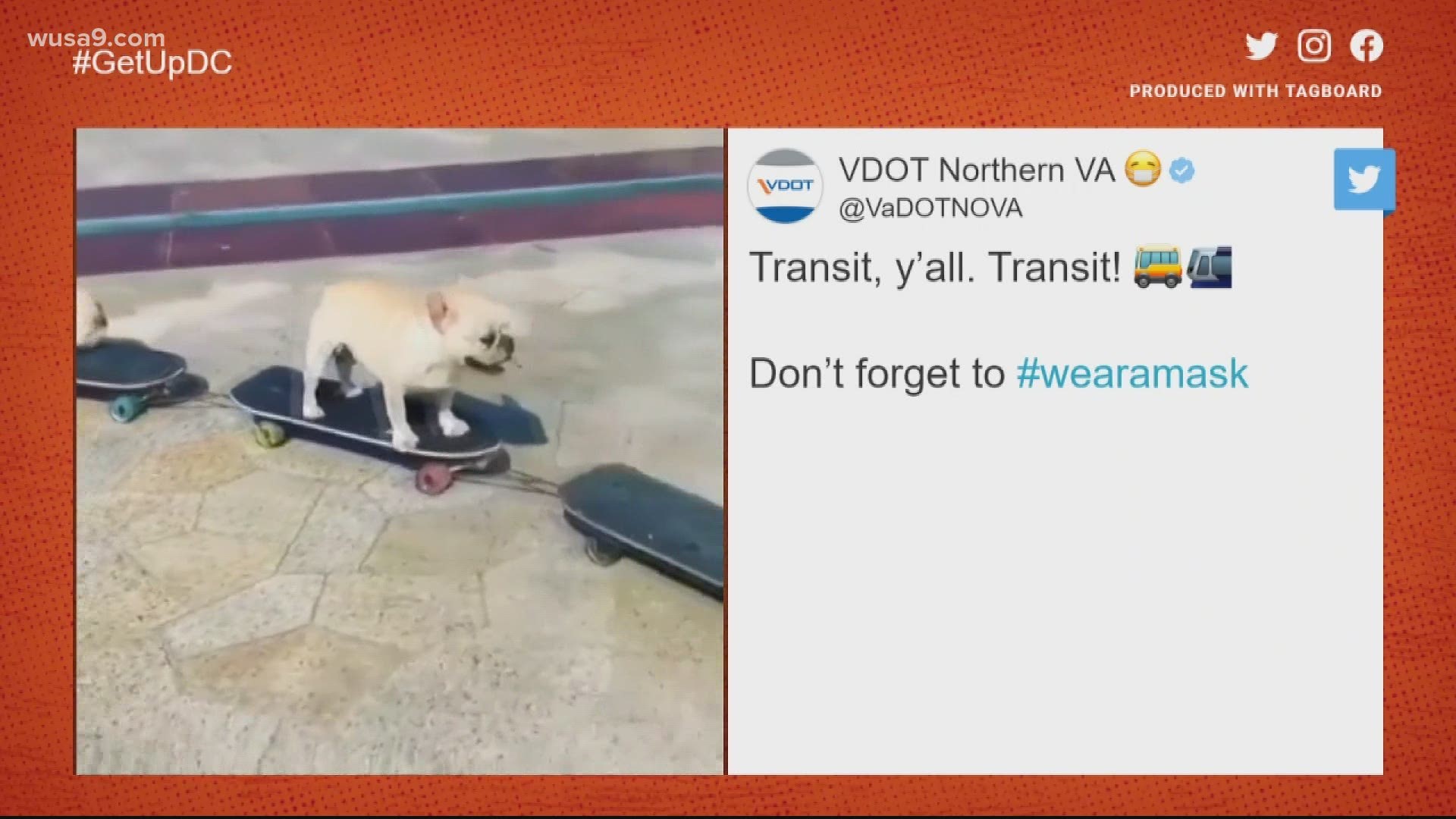 Virginia Department of Transportation reminds you of public transit with dogs on skateboards